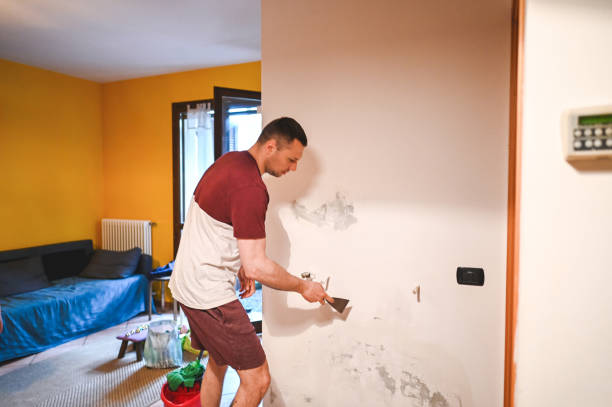 Best Black Mold Remediation in Huron, OH